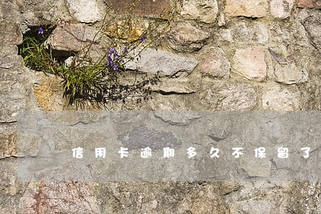 信用卡逾期多久不保留了 信用卡逾期多久不保留了