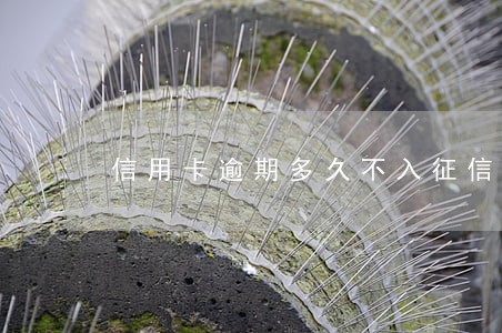 信用卡逾期多久不入征信