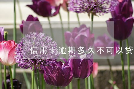 信用卡逾期多久不可以贷款