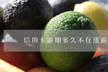 信用卡逾期多久不在涨逾期费
