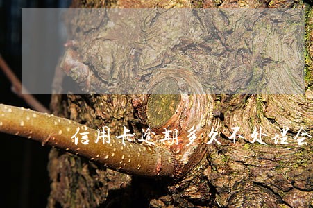 信用卡逾期多久不处理会上征信 信用卡逾期多久不处理会上征信