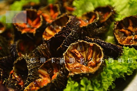 信用卡逾期多久不影响信用