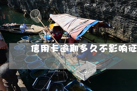 信用卡逾期多久不影响征信 信用卡逾期多久不影响征信