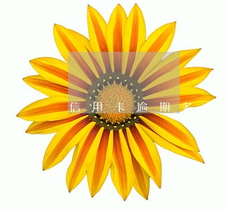 信用卡逾期多久不得坐飞机