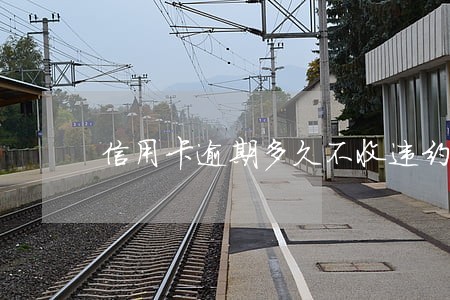 信用卡逾期多久不收违约金 信用卡逾期多久不收违约金