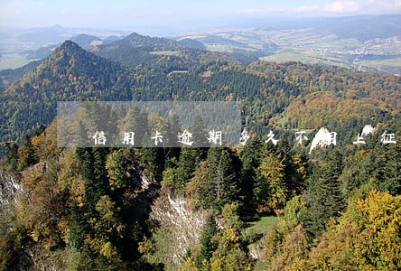 信用卡逾期多久不用上征信 信用卡逾期多久不用上征信