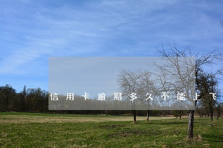 信用卡逾期多久不能上飞机 信用卡逾期多久不能上飞机
