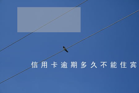 信用卡逾期多久不能住宾馆 信用卡逾期多久不能住宾馆