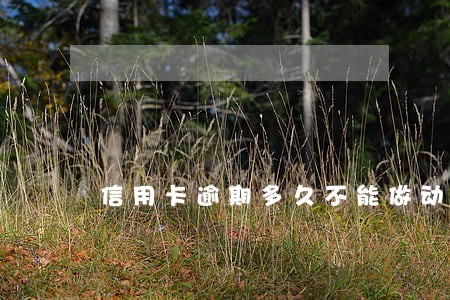 信用卡逾期多久不能做动车