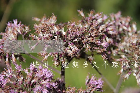 信用卡逾期多久不能做法人