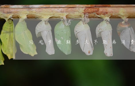 信用卡逾期多久不能再消费了 信用卡逾期多久不能再消费了