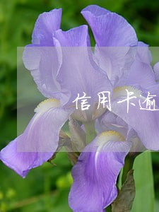 信用卡逾期多久不能最低还款了 信用卡逾期多久不能最低还款了