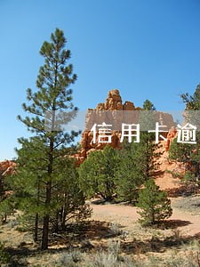 信用卡逾期多久不能申请新卡