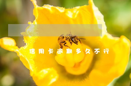 信用卡逾期多久不行 信用卡逾期多久不行