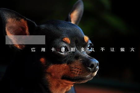 信用卡逾期多久不让做火车 信用卡逾期多久不让做火车