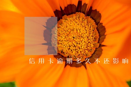 信用卡逾期多久不还影响征信 信用卡逾期多久不还影响征信