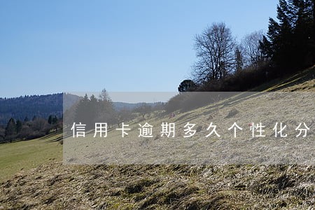 信用卡逾期多久个性化分期协