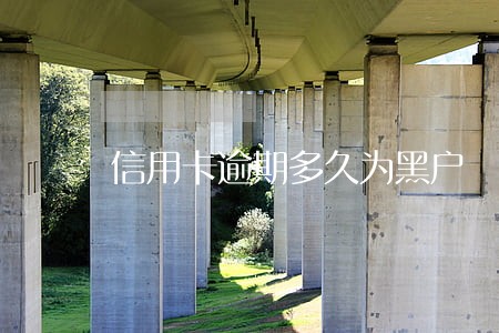 信用卡逾期多久为黑户 信用卡逾期多久为黑户