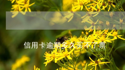 信用卡逾期多久买不了票 信用卡逾期多久买不了票