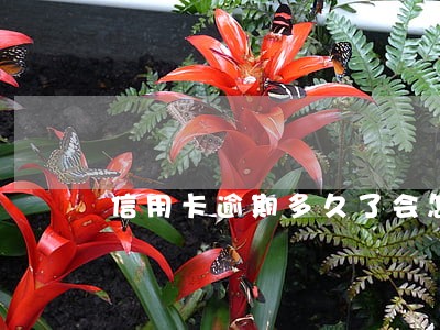 信用卡逾期多久了会怎么样