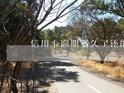 信用卡逾期多久了还能用吗 信用卡逾期多久了还能用吗