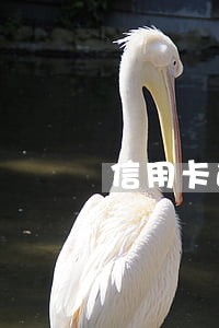 信用卡逾期多久交第三方 信用卡逾期多久交第三方