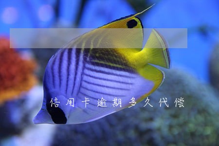 信用卡逾期多久代偿