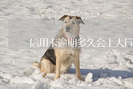 信用卡逾期多久会上人行征信 信用卡逾期多久会上人行征信