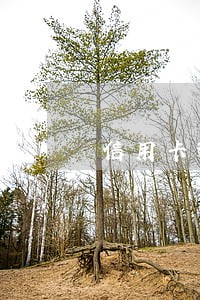 信用卡逾期多久会上失信人名单 信用卡逾期多久会上失信人名单