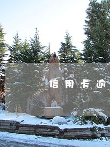 信用卡逾期多久会上征信交通