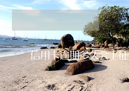 信用卡逾期多久会上征信浦发 信用卡逾期多久会上征信浦发