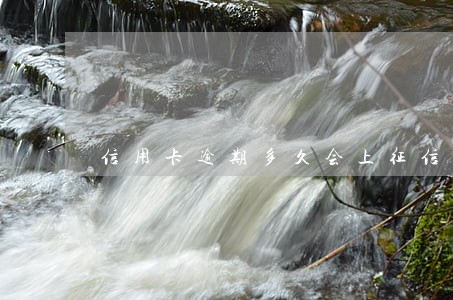信用卡逾期多久会上征信黑户