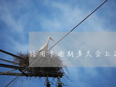 信用卡逾期多久会上正信 信用卡逾期多久会上正信