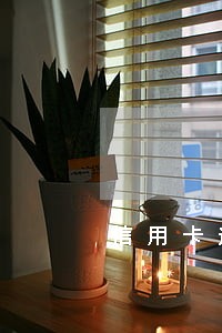 信用卡逾期多久会上诉 信用卡逾期多久会上诉