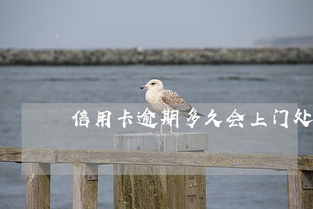 信用卡逾期多久会上门处理