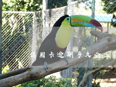 信用卡逾期多久会上门要钱 信用卡逾期多久会上门要钱