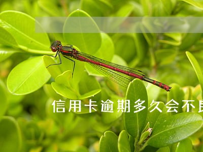 信用卡逾期多久会不良记录 信用卡逾期多久会不良记录