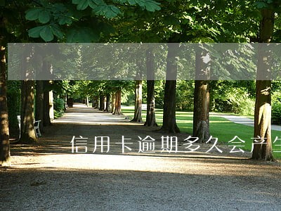 信用卡逾期多久会产生利息6