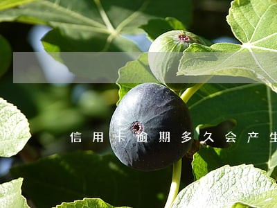 信用卡逾期多久会产生征信