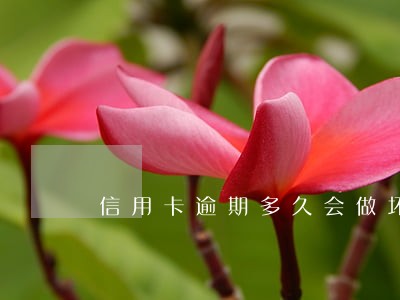信用卡逾期多久会做坏账 信用卡逾期多久会做坏账