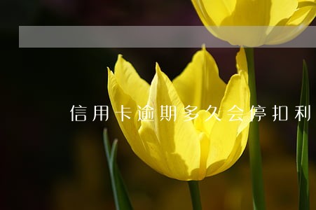 信用卡逾期多久会停扣利息