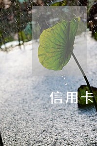 信用卡逾期多久会停止利息和违约金