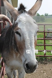 信用卡逾期多久会催款 信用卡逾期多久会催款