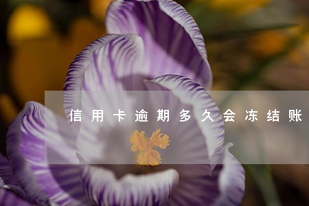 信用卡逾期多久会冻结账单还款 信用卡逾期多久会冻结账单还款