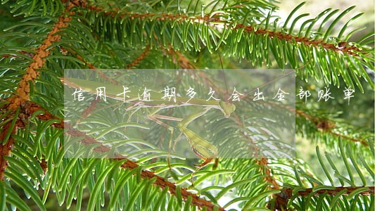 信用卡逾期多久会出全部账单 信用卡逾期多久会出全部账单