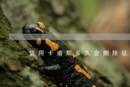 信用卡逾期多久会删除征信