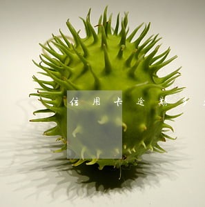 信用卡逾期多久会删除征信记录