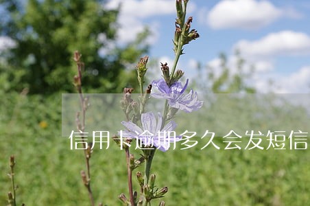 信用卡逾期多久会发短信 信用卡逾期多久会发短信