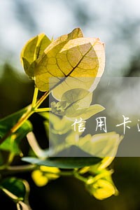 信用卡逾期多久会取消最低还款 信用卡逾期多久会取消最低还款