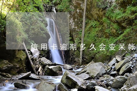 信用卡逾期多久会变呆帐 信用卡逾期多久会变呆帐